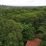 Haus-mieten-in-Paraguay