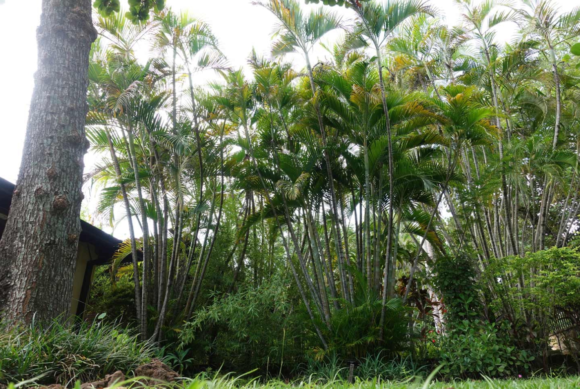 Haus-mieten-in-Paraguay-(32