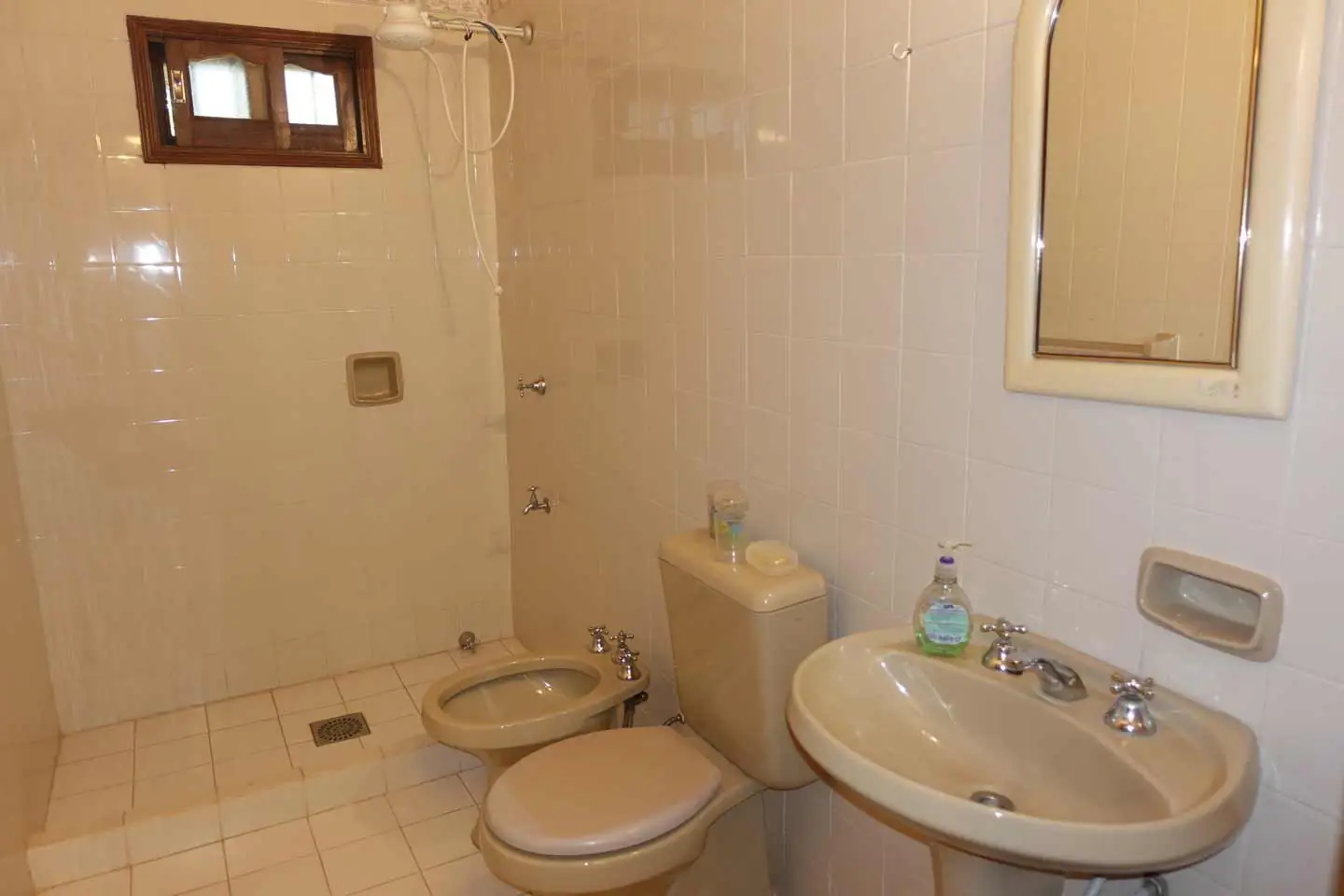 Haus-mieten-in-Paraguay-(39 Anwesen mit 2 Häusern Pool und großem Garten