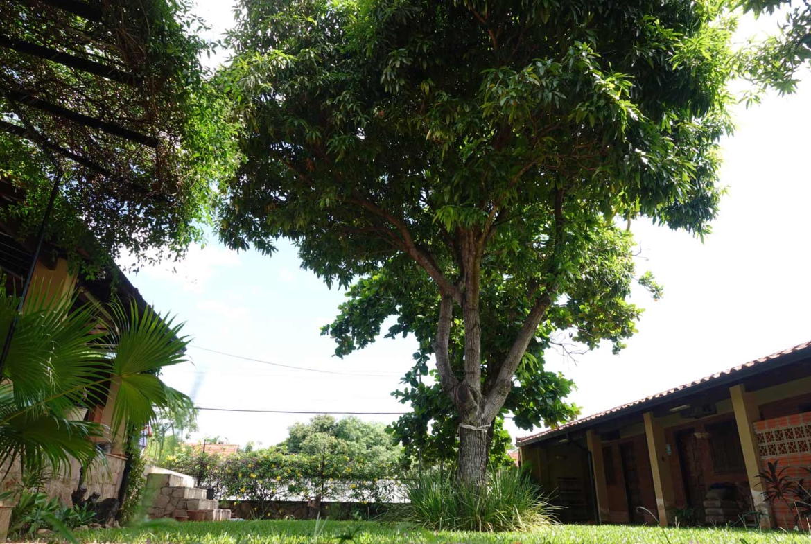 Haus-mieten-in-Paraguay-(4)