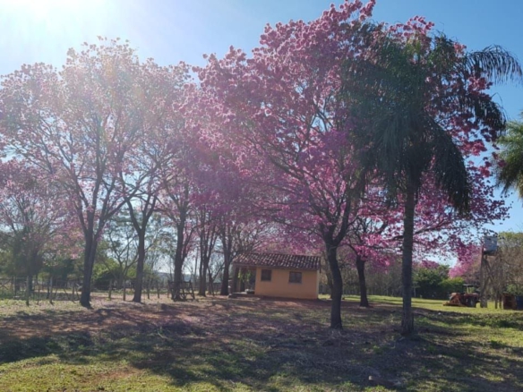 Eigendom kopen in Paraguay 3 1