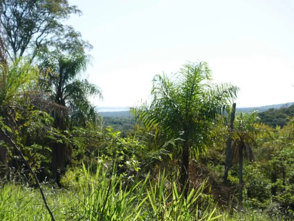 Propriedade de 4,3 hectares com vista para o lago, floresta, córrego e vista para as copas das árvores de uma floresta entre San Bernardino e Caacupe em uma estrada de desvio asfaltada