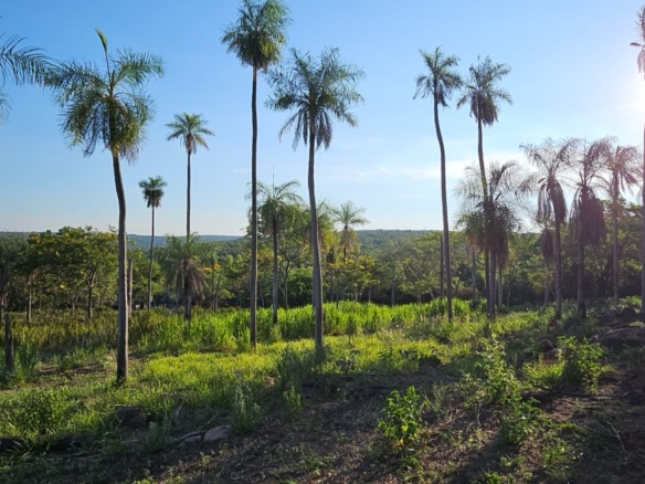Grundstueck kaufen in Paraguay 3
