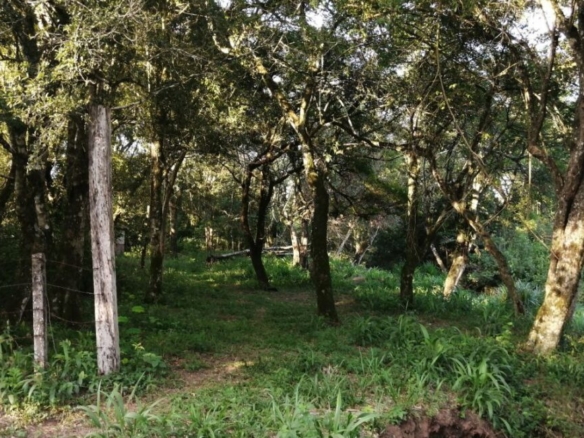 2024 09 17 19.36.27 1170x650 1