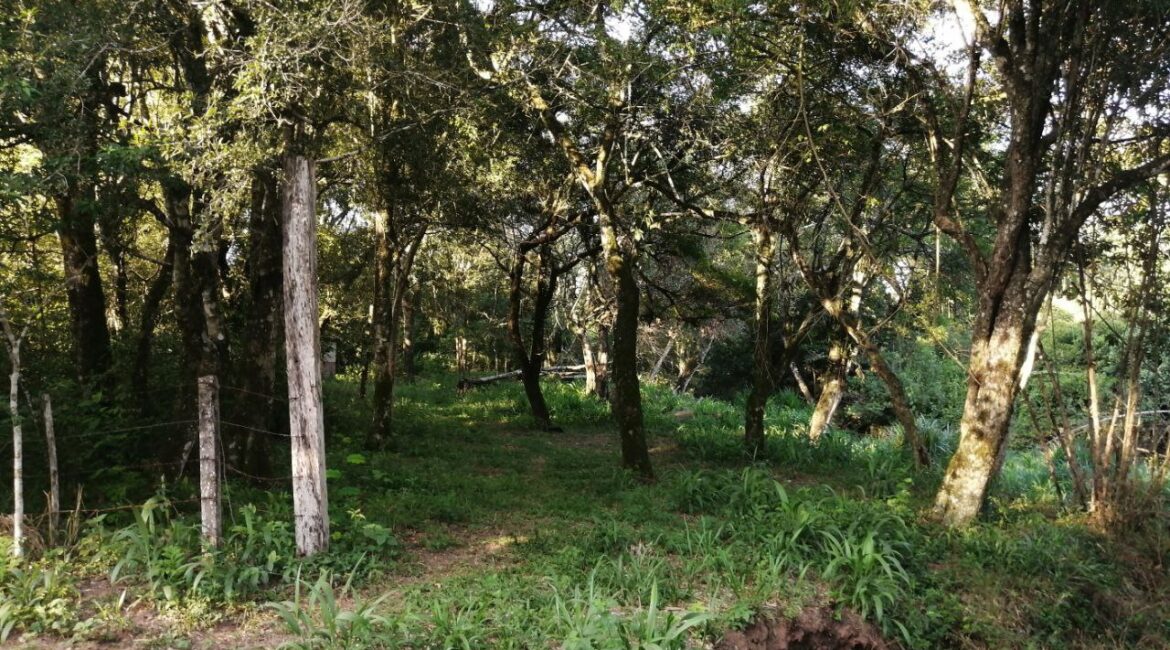 2024 09 17 19.36.27 1170x650 1