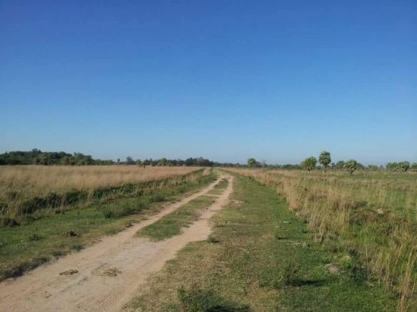 PHOTO 2025 11 02 00 14 29