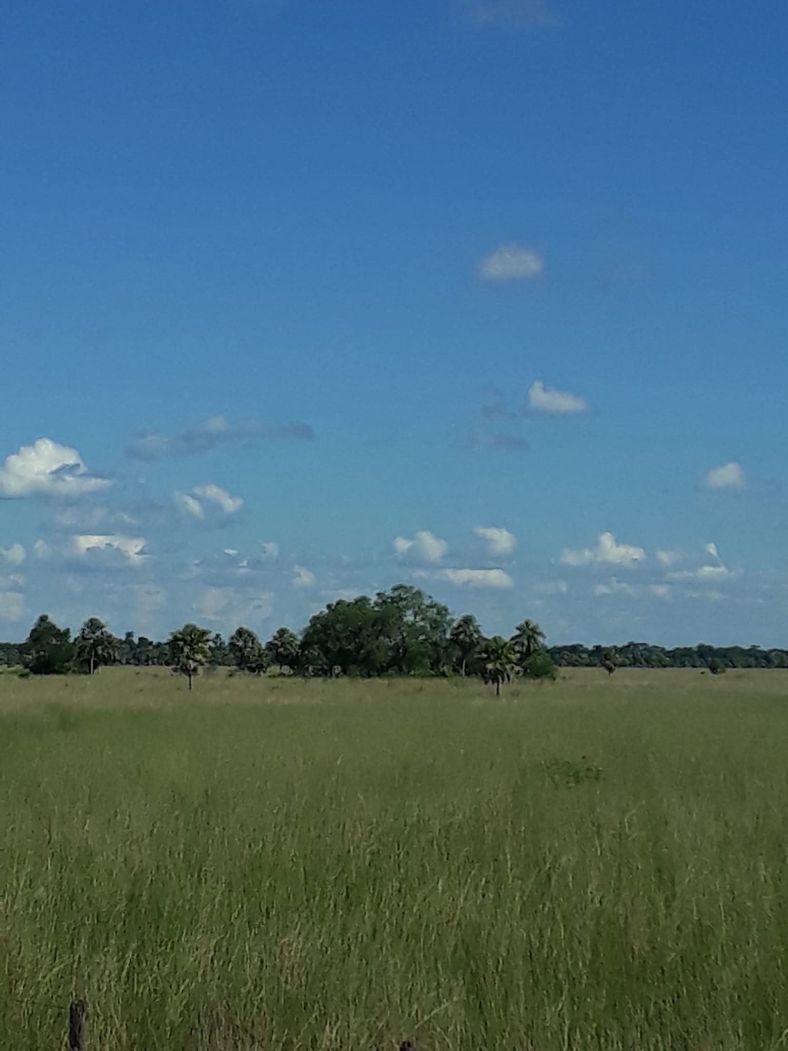 PHOTO-2025-11-02-00-14-30 (2)