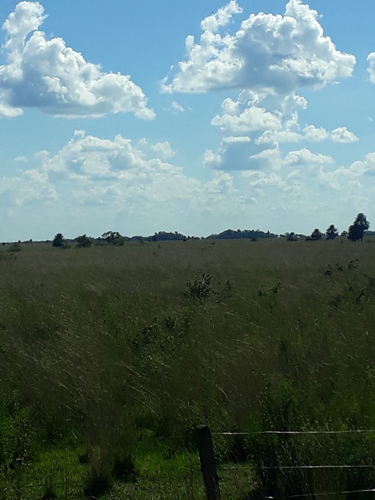 PHOTO-2025-11-02-00-14-31 (1)