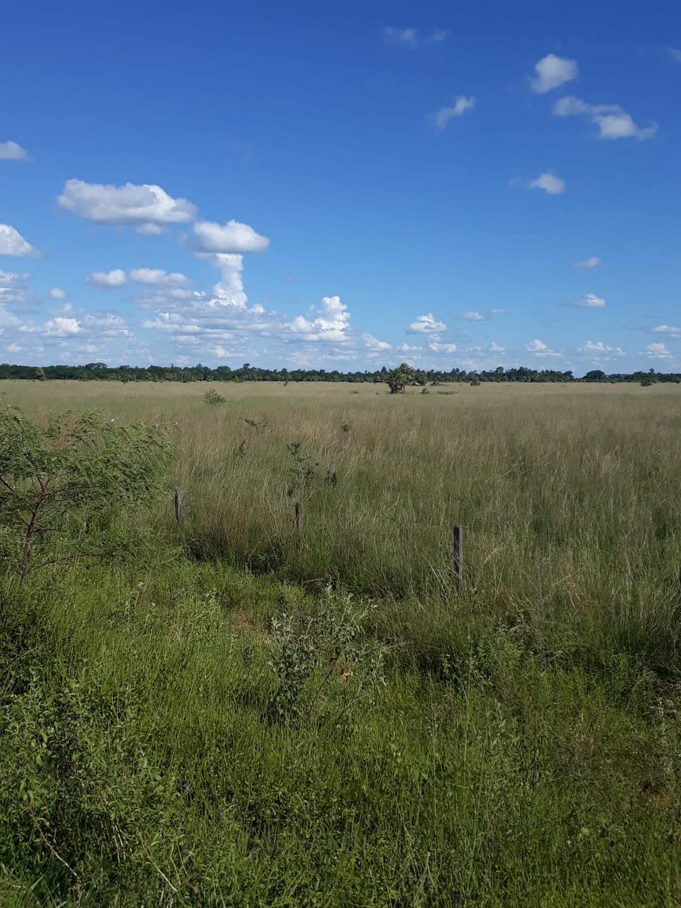 PHOTO-2025-11-02-00-14-31 (2)