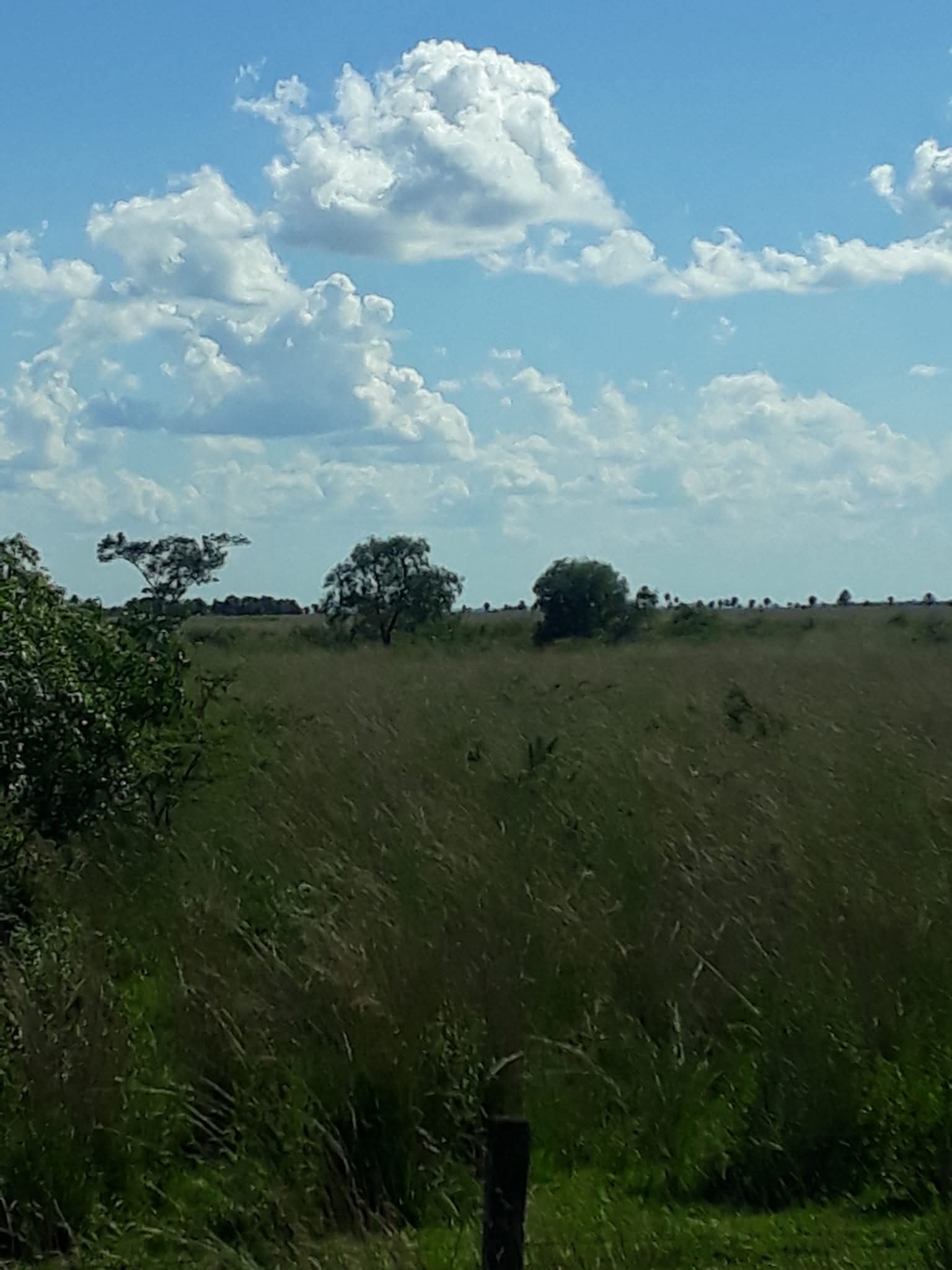 PHOTO-2025-11-02-00-14-31