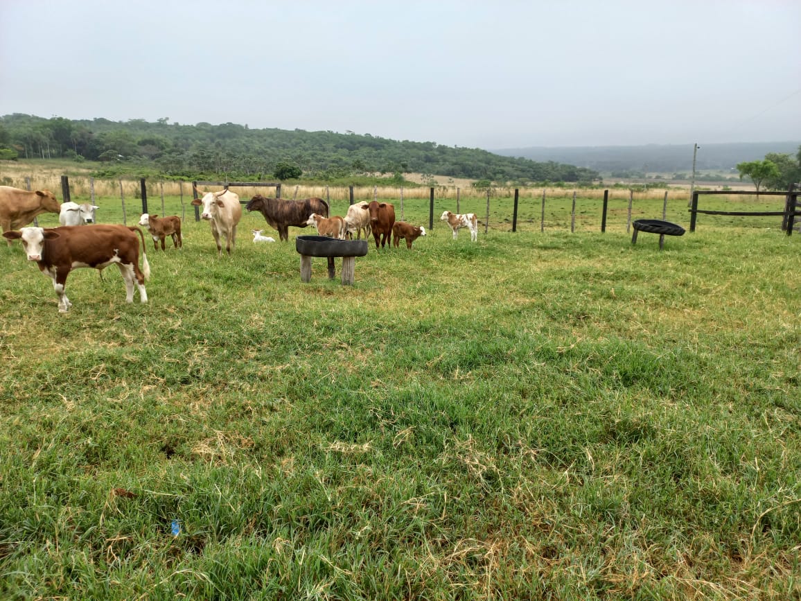 PHOTO-2025-11-02-13-05-27 (3)