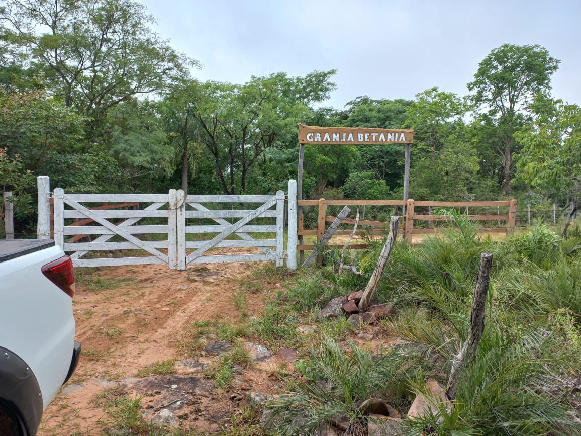 PHOTO-2025-11-02-13-05-27