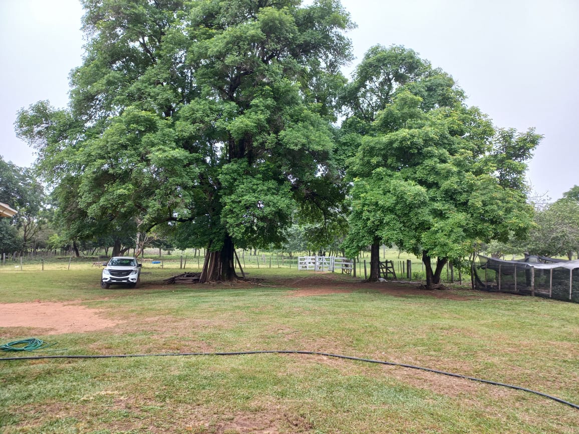 PHOTO-2025-11-02-13-05-28 (1)