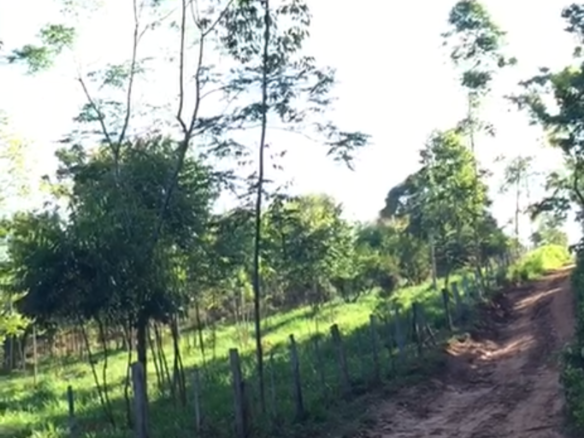 Comprar terreno Paraguay 1 e1770468180102