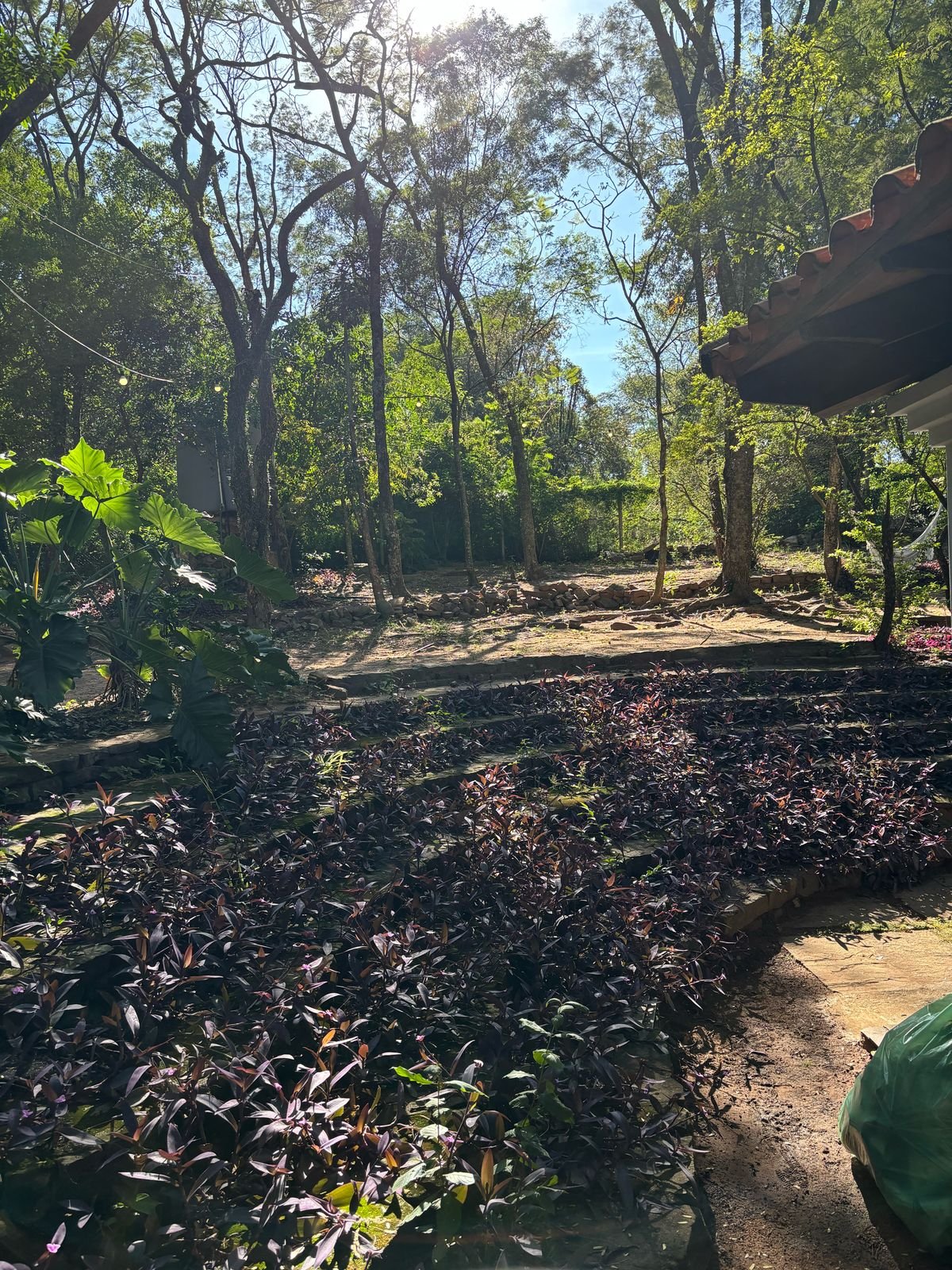 Alugar uma casa Paraguai (17)